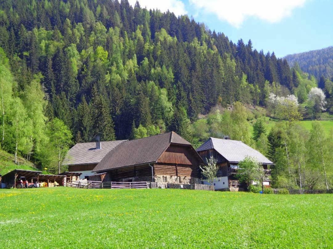 Apartment Zum Wasserfall Krakaudorf Exterior photo